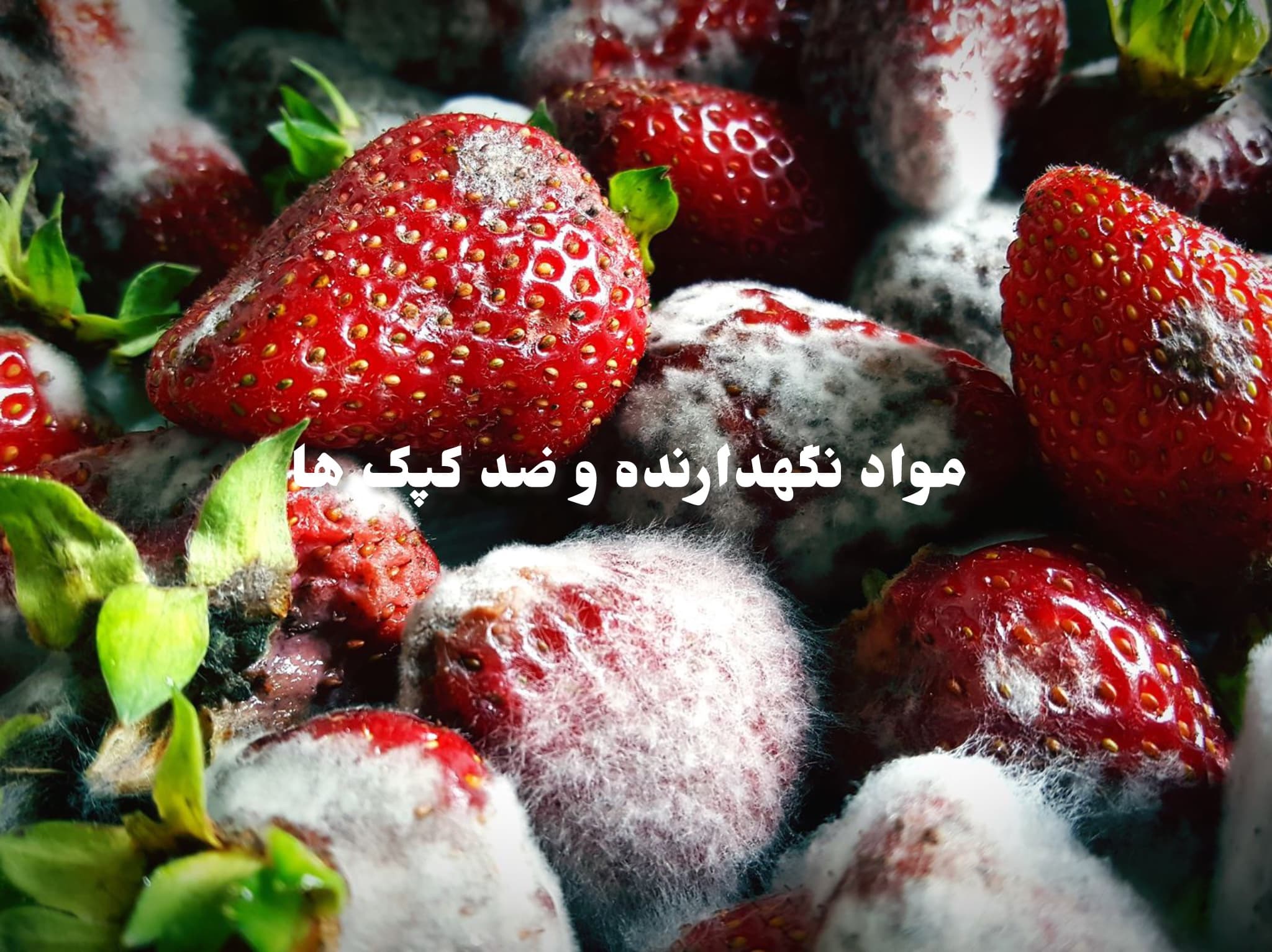 مواد نگهدارنده و ضد کپک - انواع مواد نگهدارنده