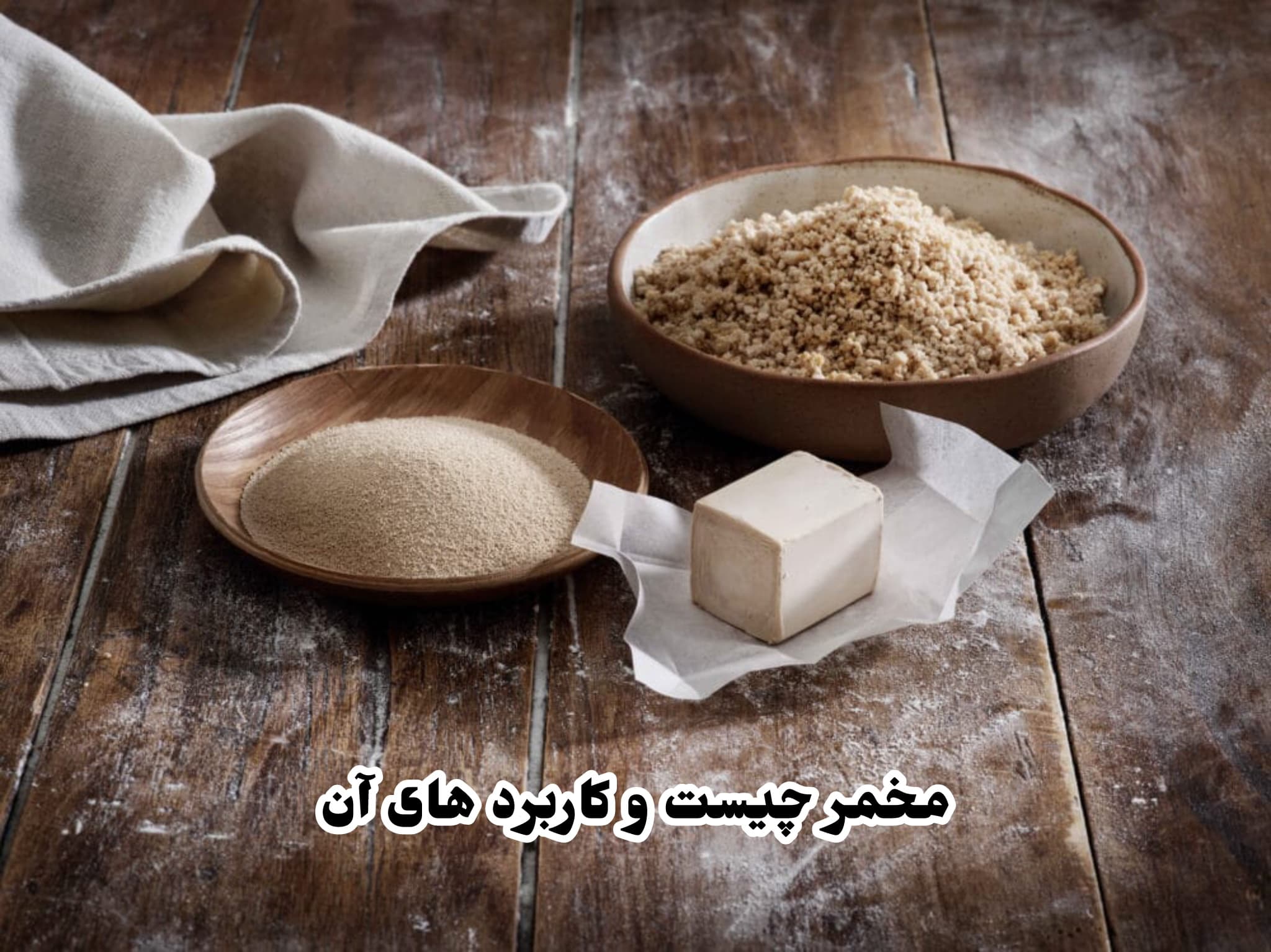 مخمر چیست کیمیاگر کوچک طبیعت؛ از نان باستان تا بیوتکنولوژی مدرن