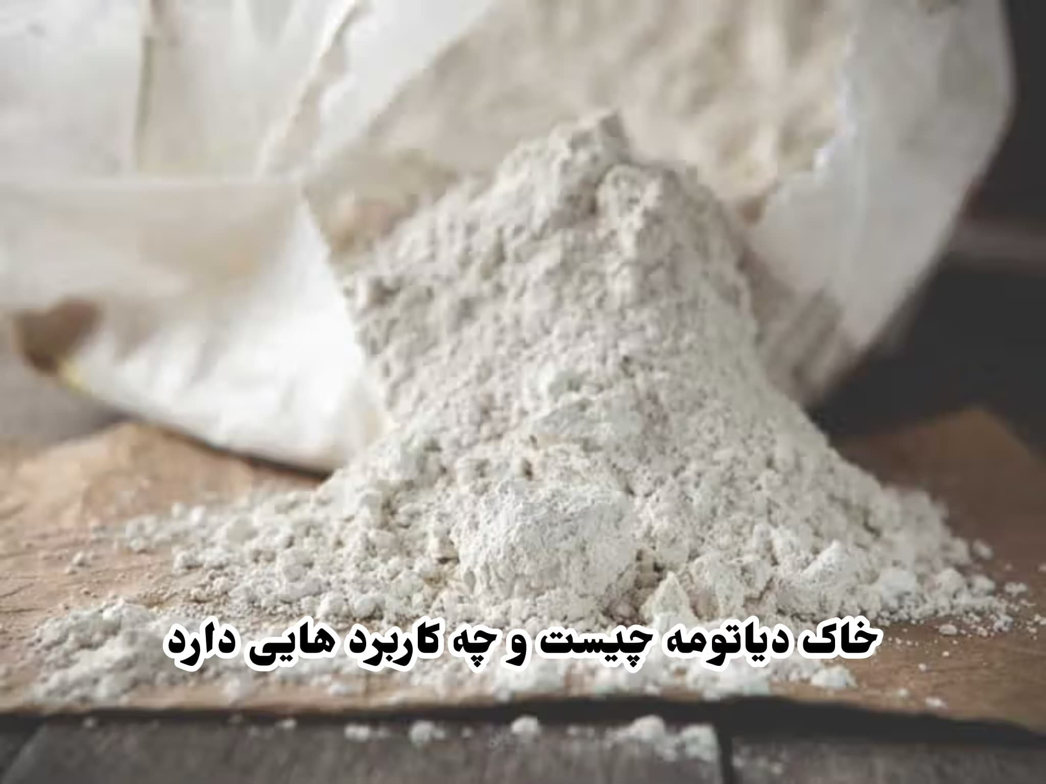 خاک دیاتومه و از بین بردن ساس