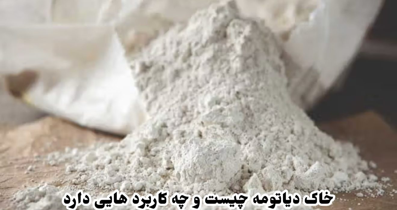 خاک دیاتومه چیست و چه کاربردهایی دارد؟