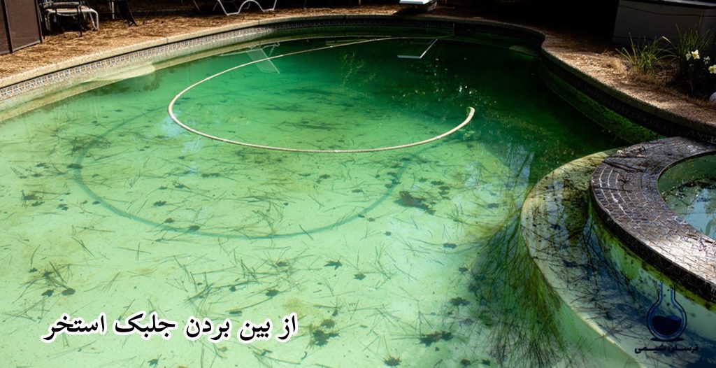 از بین بردن جلبک استخر - خرید سولفات مس