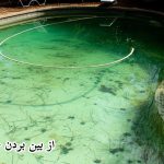 از بین بردن جلبک استخر - خرید سولفات مس